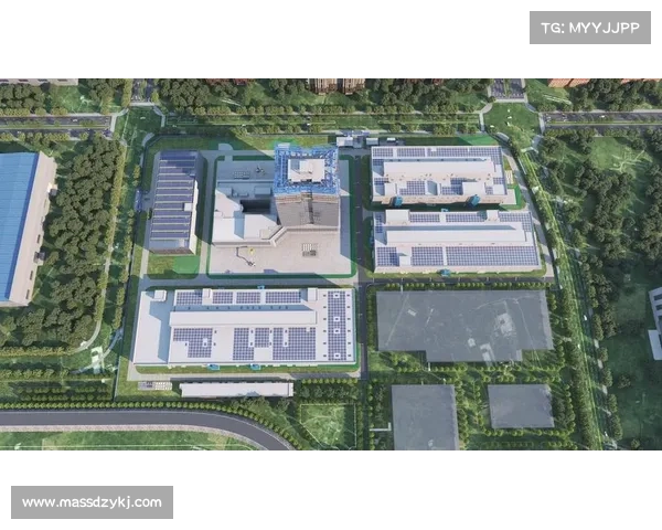 集团项目首开成功的八大关键因素助力项目高效启动与长期发展